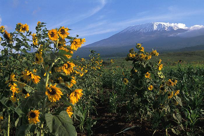 Kilimanžáro