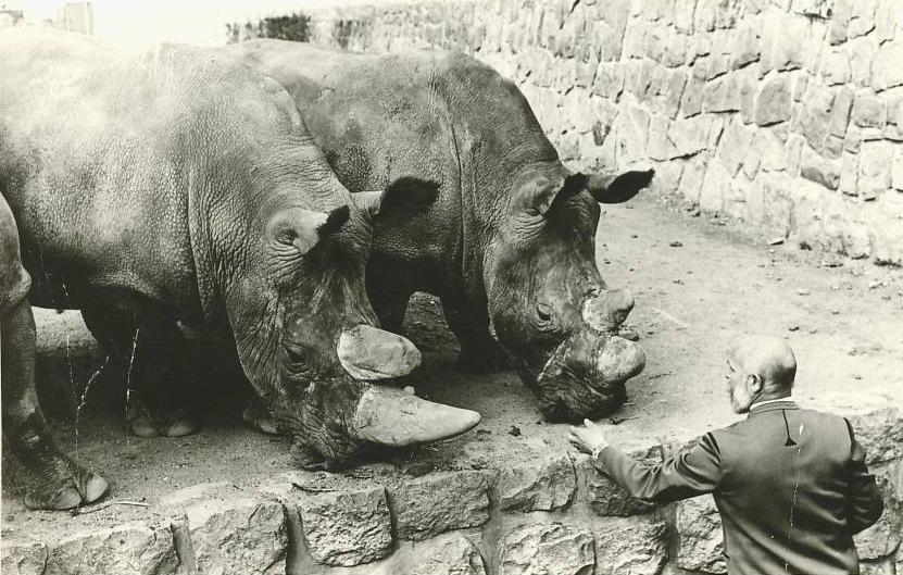 Josef Vágner a nosorožci tuponosí. Foto - archiv J. Vágnera